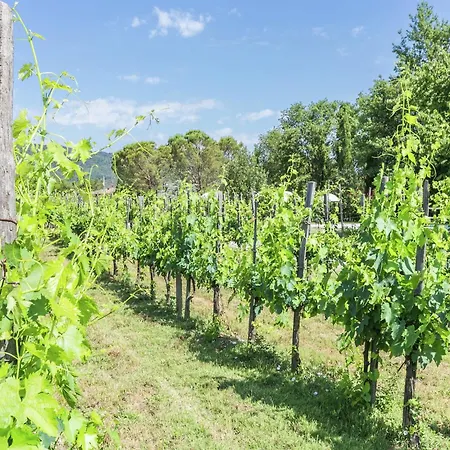 Authentic In Bucine With Swimming Pool *