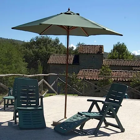 Authentic In Bucine With Swimming Pool